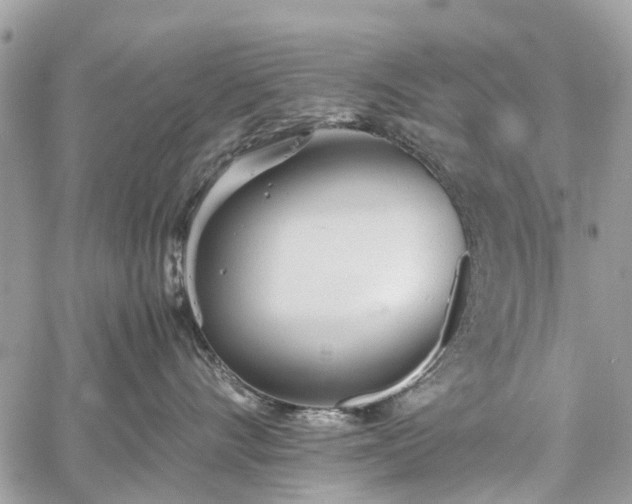 X0000060750528200511141202