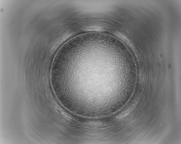 X0000060750529200511141201