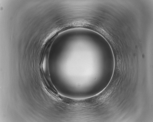 X0000060750530200511141201