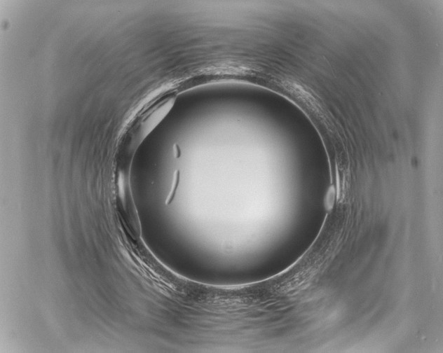 X0000060750531200511141201