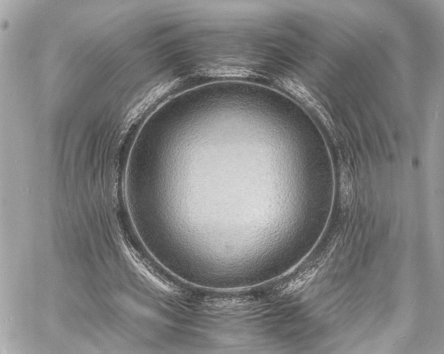 X0000060750533200511141201