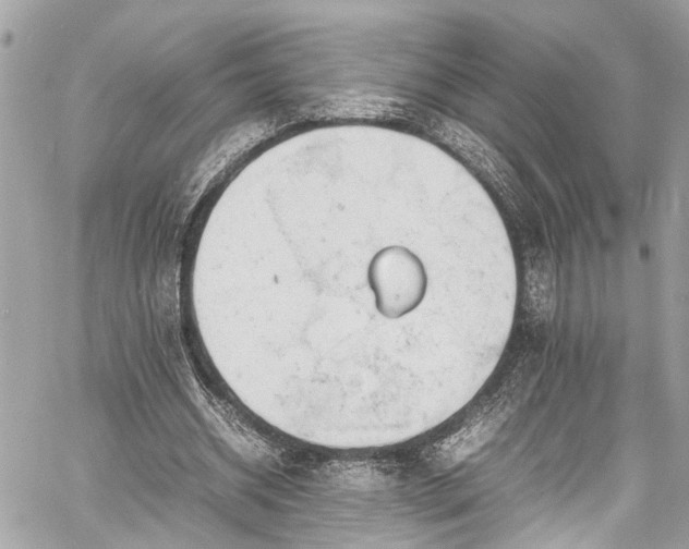 X0000060750534200511141201