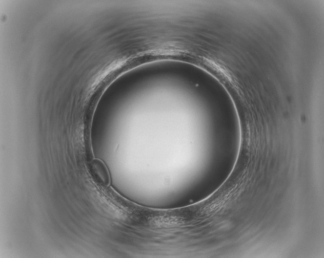 X0000060750535200511141201