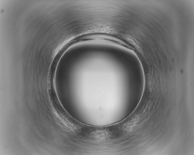 X0000060750536200511141201