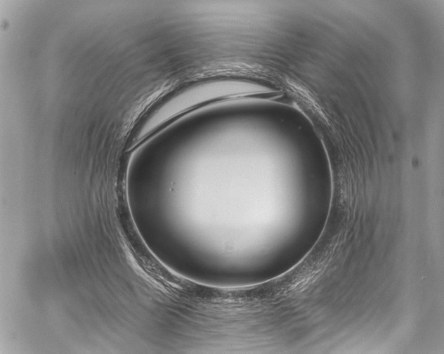 X0000060750538200511141201