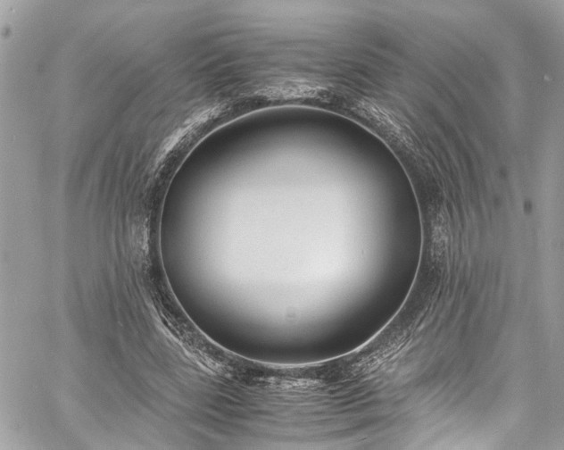 X0000060750539200511141201