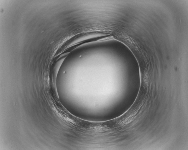 X0000060750540200511141201