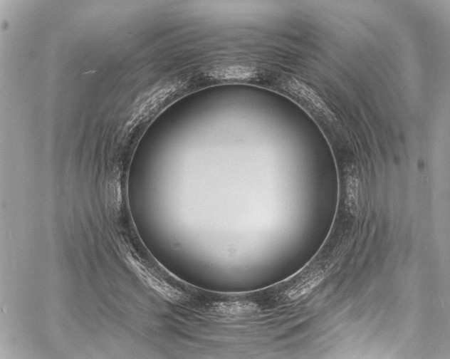 X0000060750541200511141201