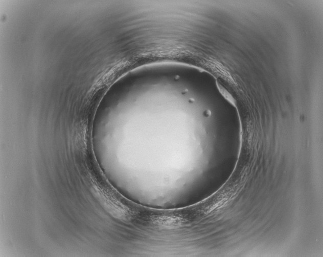 X0000060750542200511141201