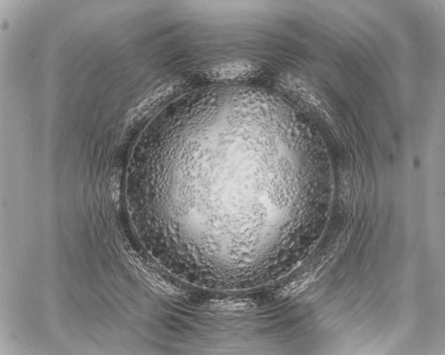 X0000060750545200511141201