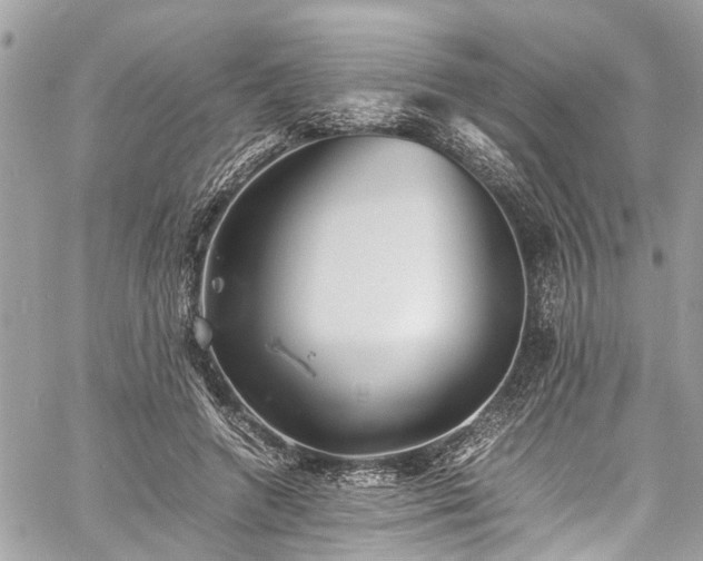 X0000060750546200511141201