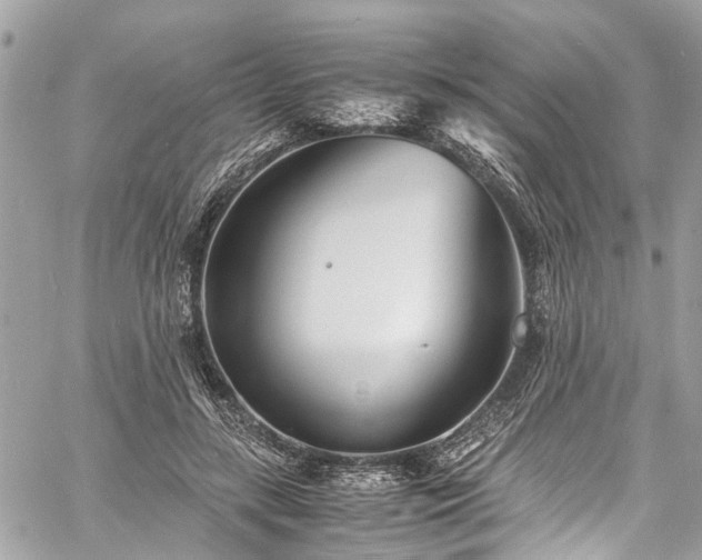 X0000060750547200511141201