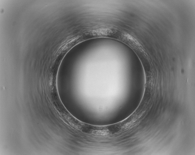 X0000060750548200511141201