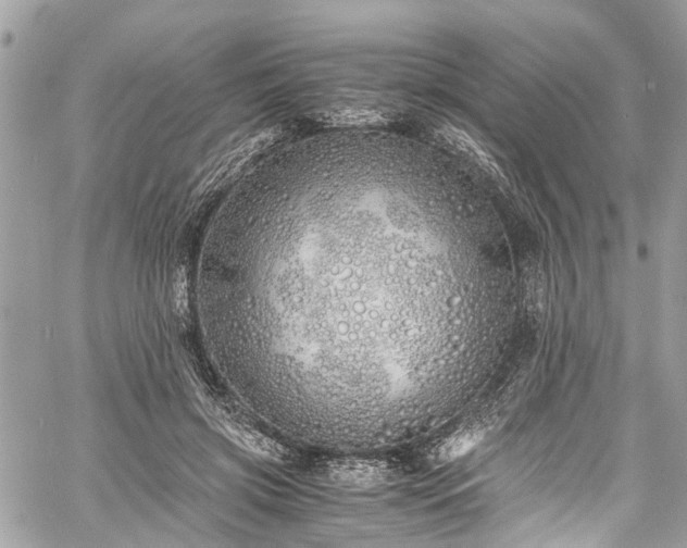 X0000060750549200511141201