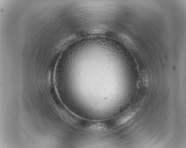 X0000060750550200511141201