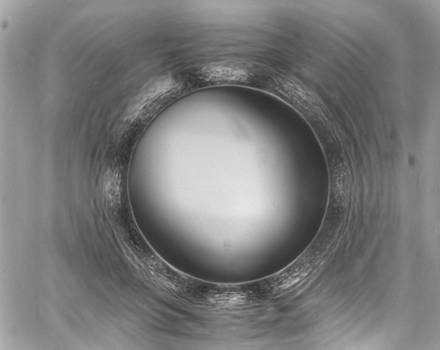 X0000060750551200511141201