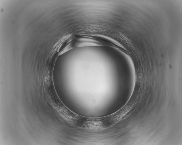 X0000060750552200511141201