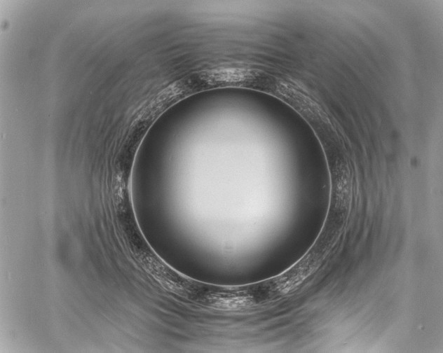 X0000060750555200511141201