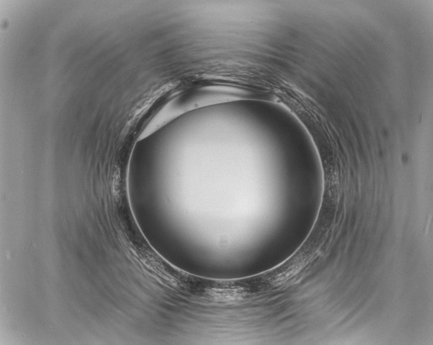 X0000060750556200511141202