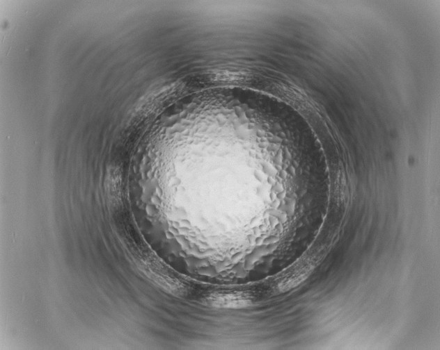 X0000060750557200511141202