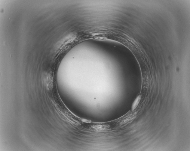 X0000060750558200511141202