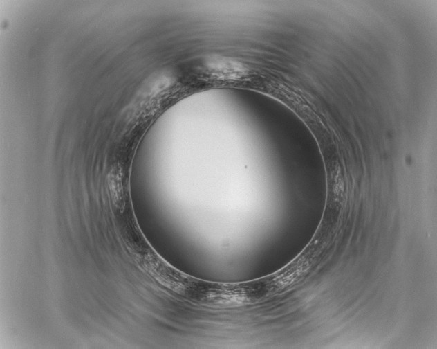 X0000060750559200511141202