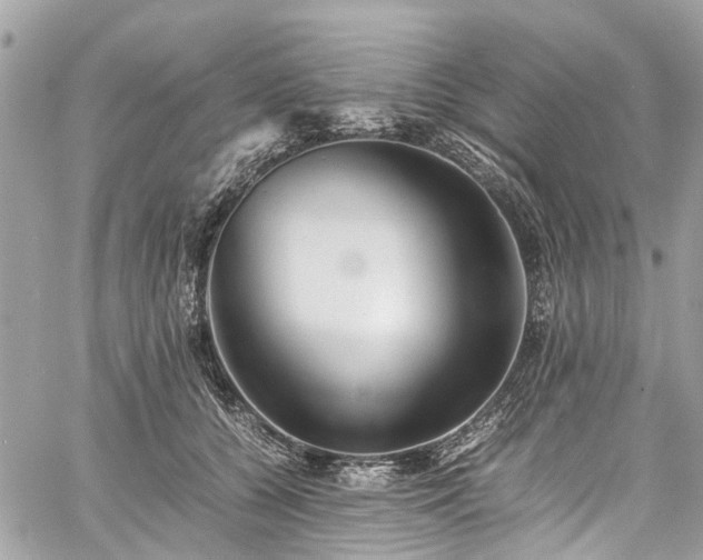 X0000060750560200511141202