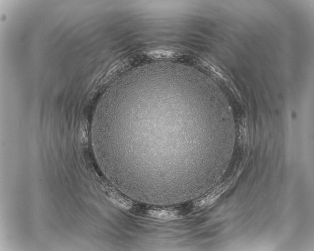 X0000060750561200511141202