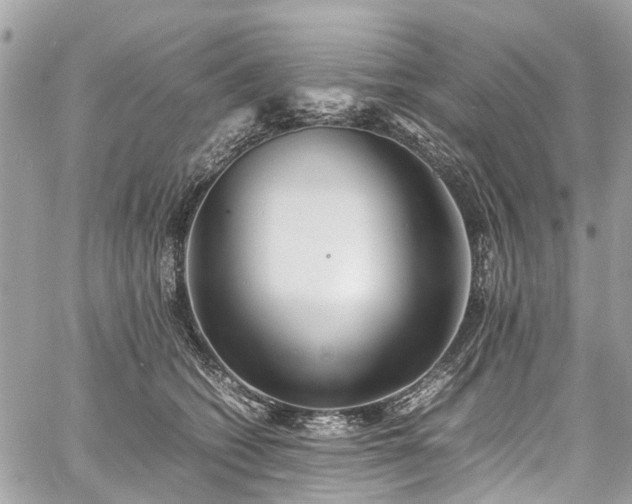 X0000060750562200511141202