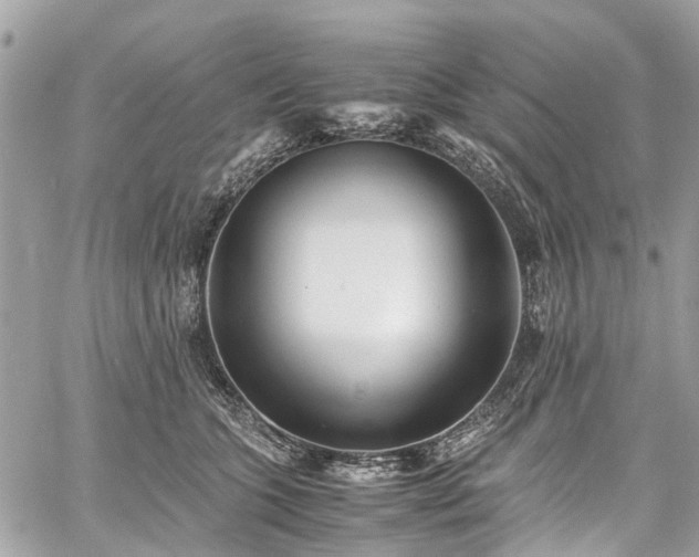 X0000060750563200511141202