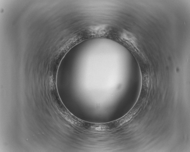 X0000060750564200511141202