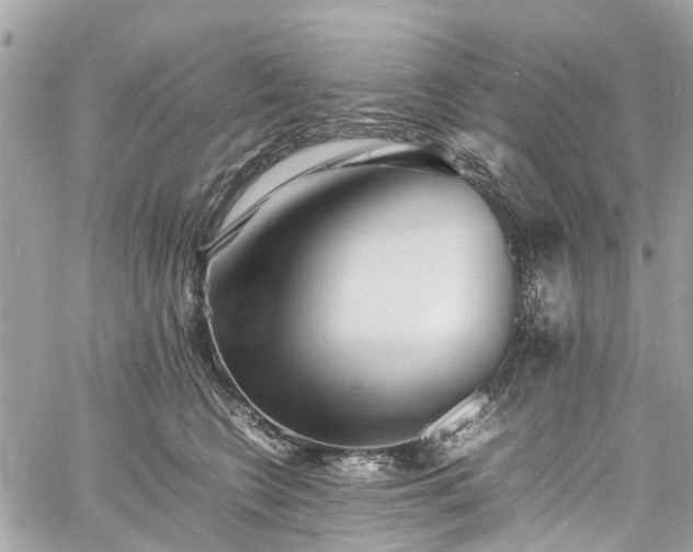 X0000060750566200511141202