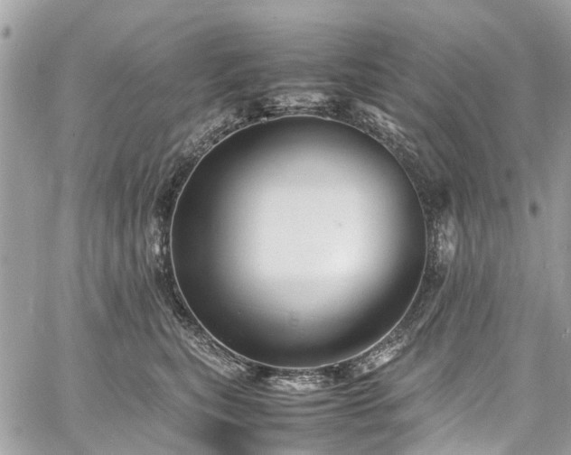 X0000060750567200511141202