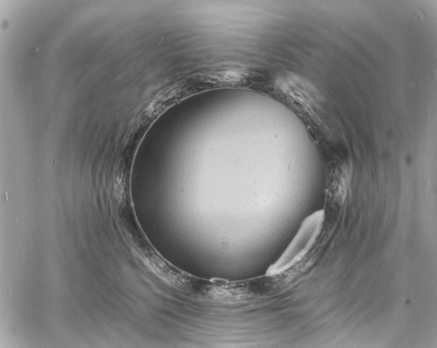 X0000060750568200511141202