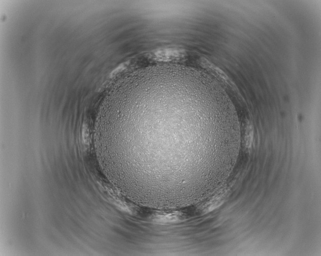 X0000060750569200511141202