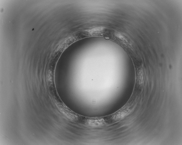 X0000060750571200511141202