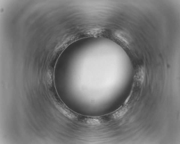 X0000060750572200511141202