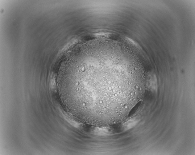 X0000060750573200511141202