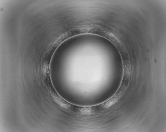 X0000060750574200511141202