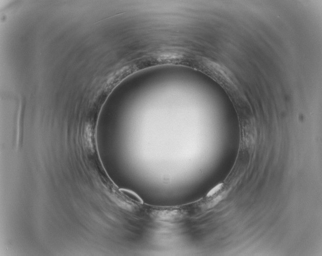 X0000060750575200511141202