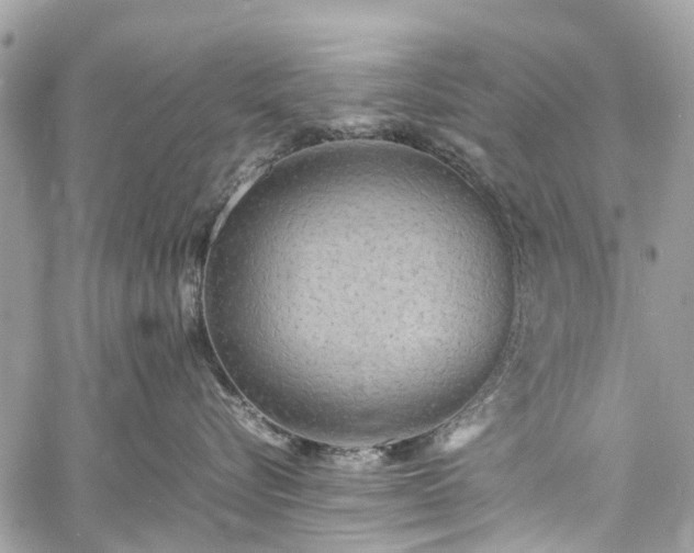 X0000060750576200511141202