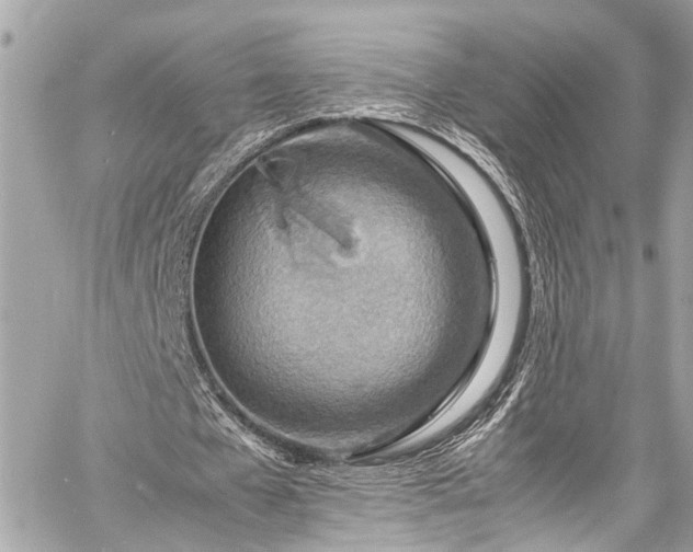 X0000060750577200511141201