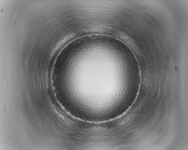 X0000060750578200511141201