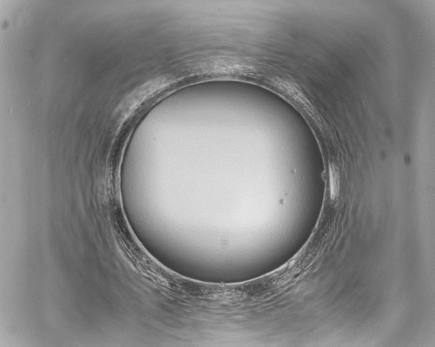 X0000060750579200511141201