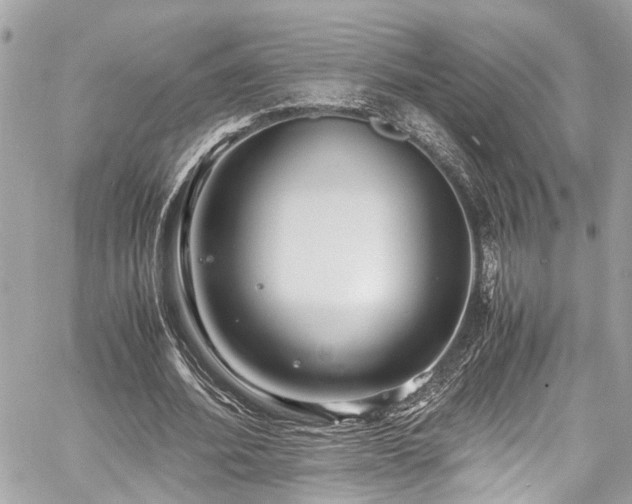 X0000060750580200511141201