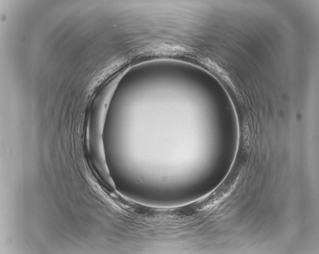 X0000060750581200511141201