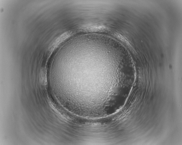 X0000060750582200511141201