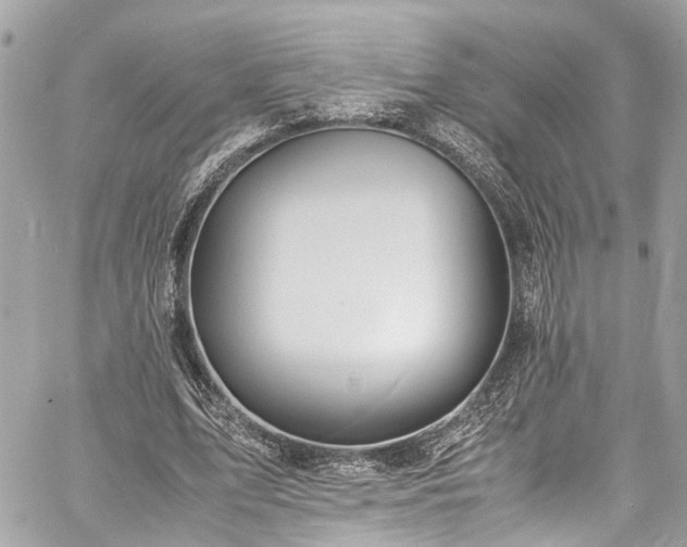 X0000060750583200511141201