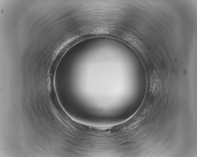 X0000060750584200511141201