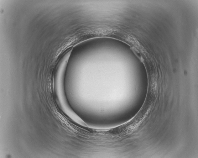 X0000060750585200511141201